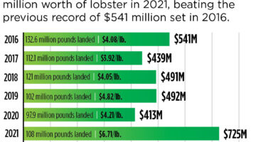 Graph of lobster landings and their value in 2021