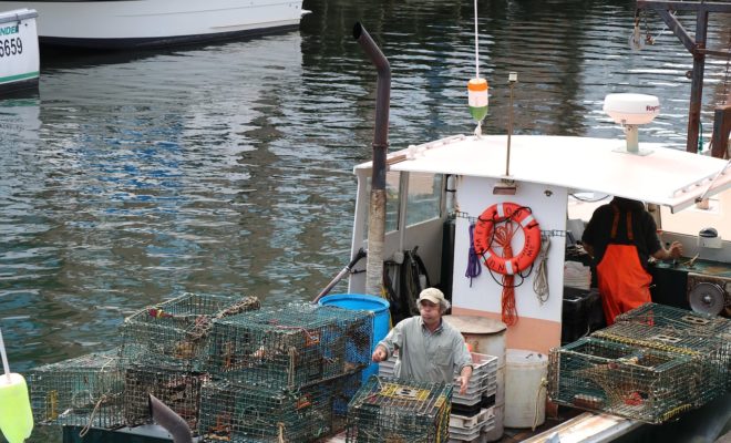 A sternman stacks lobster traps on the stern of a lobster boat tied up to a wharf