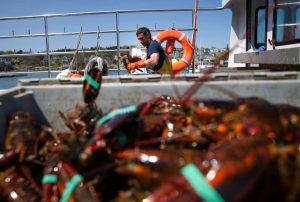 Full crate of lobsters in the foreground with fisherman on boat in the background