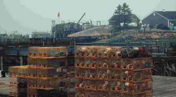 lobster traps stacked on a wharf