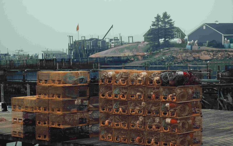 lobster traps stacked on a wharf