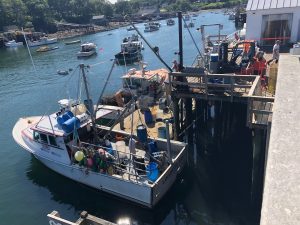 lobster wharf