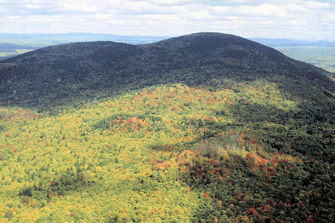 Bear Brook Watershed