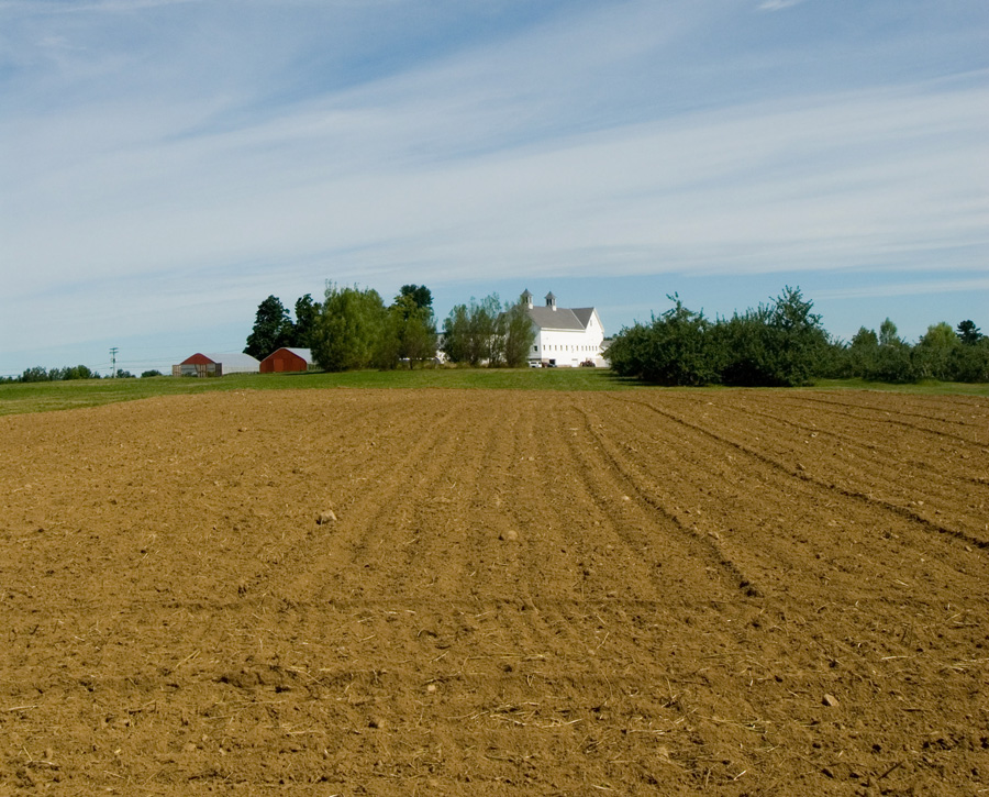 crop field