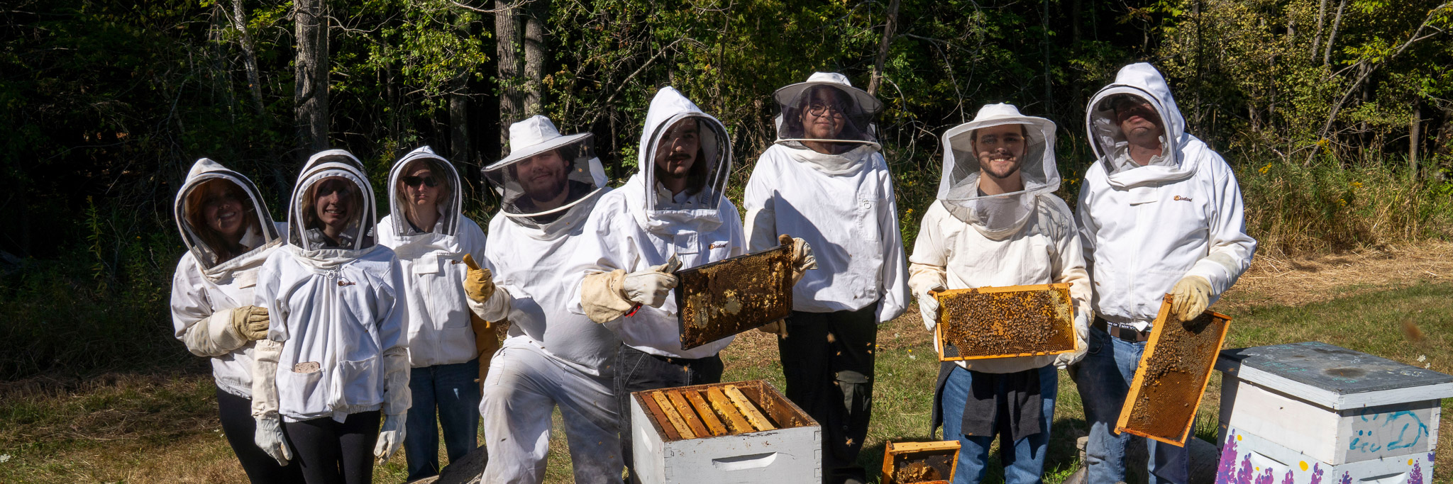 photo of people in beekeeper suits with bees