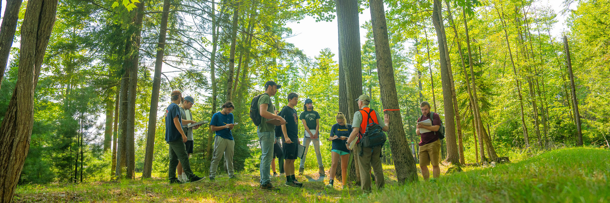 photo of students and researcher in forest