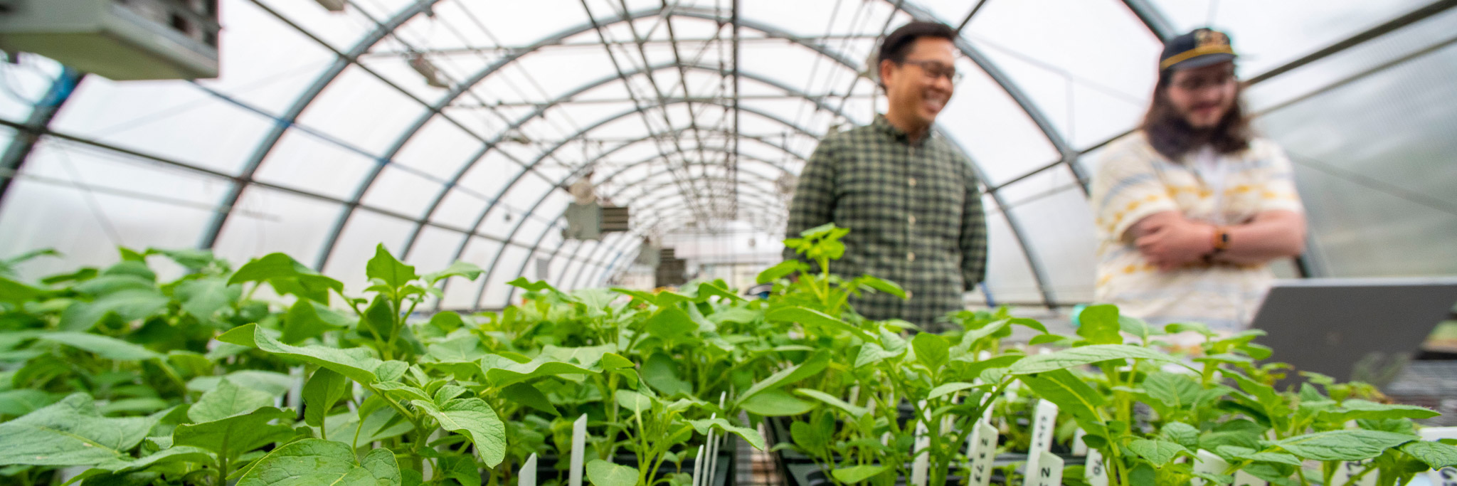 photo of seedlings in greenhouse with people at laptop