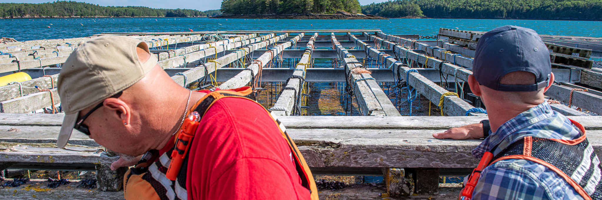 photo of two individuals at a dock