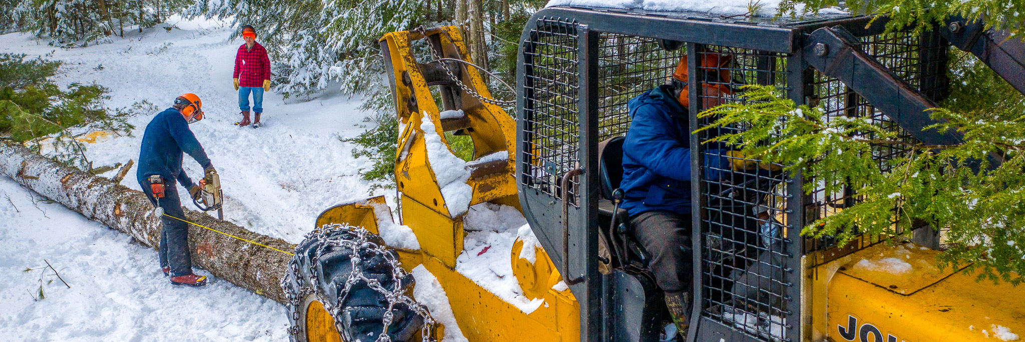 photo of workers cutting tree in winter with heavy machinery