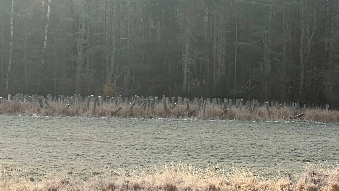 Poles in field