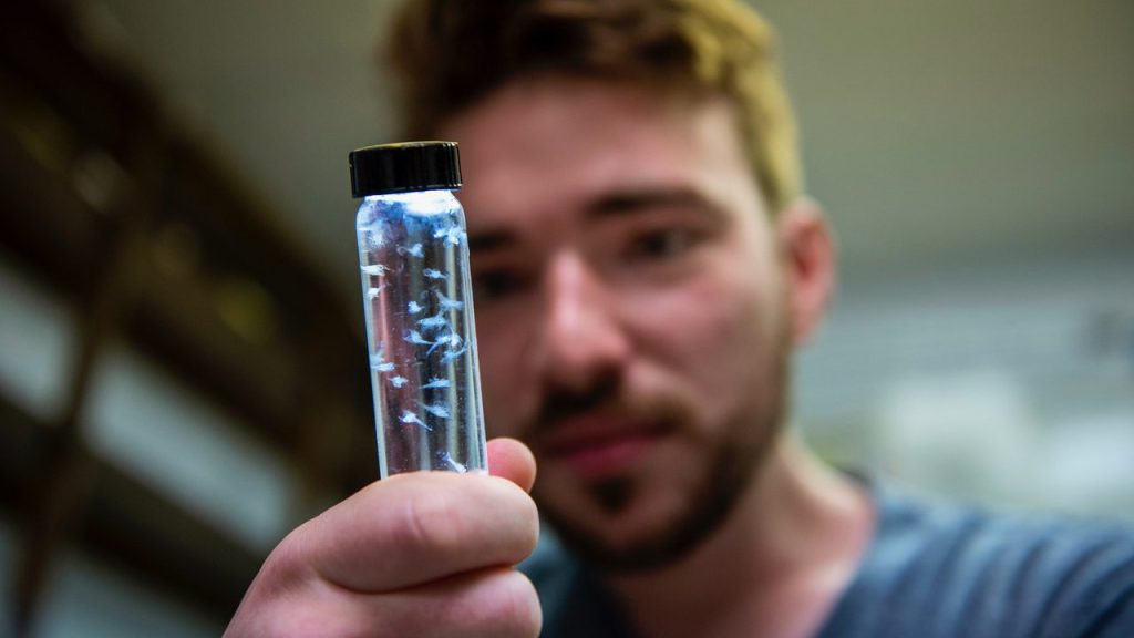 Researcher holding vial of plankton