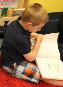Young boy reading picture book