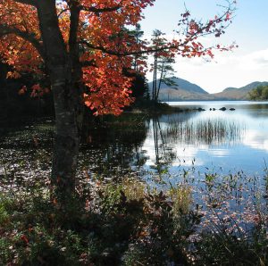 Fall scenery with trees, pond and mountains
