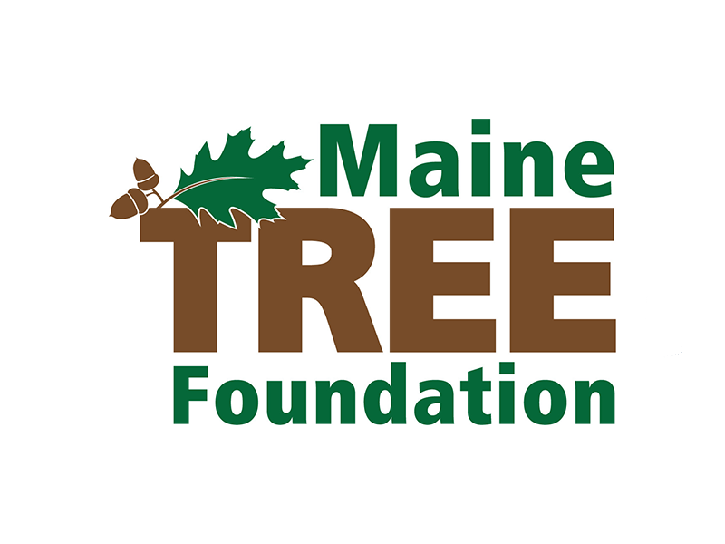 Maine Tree Foundation logo