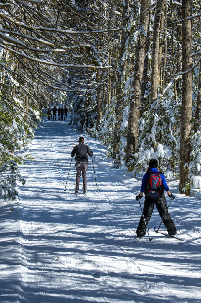 xc skiers moving down a snowy trail