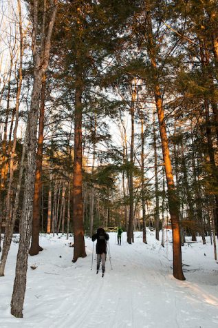 2 people xc skiing through a snowy forest