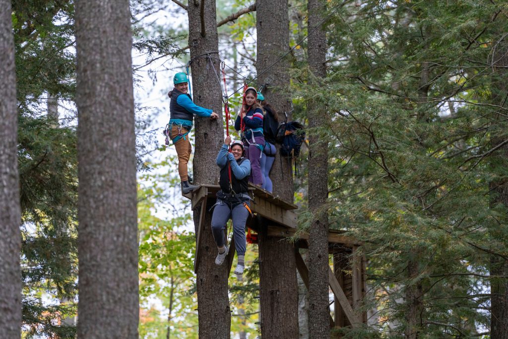 zip line through the pine trees