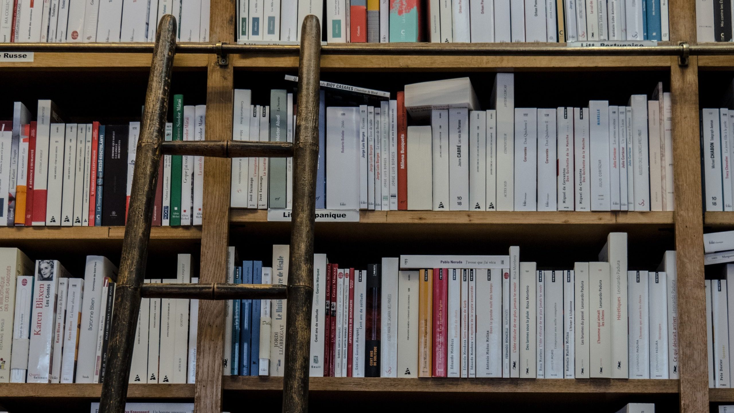 A stock image of a ladder and a bookshelf 