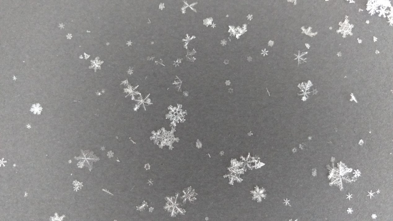 Snowflakes