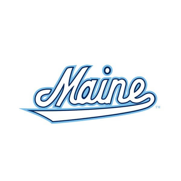 Reverse Script Wordmark logo