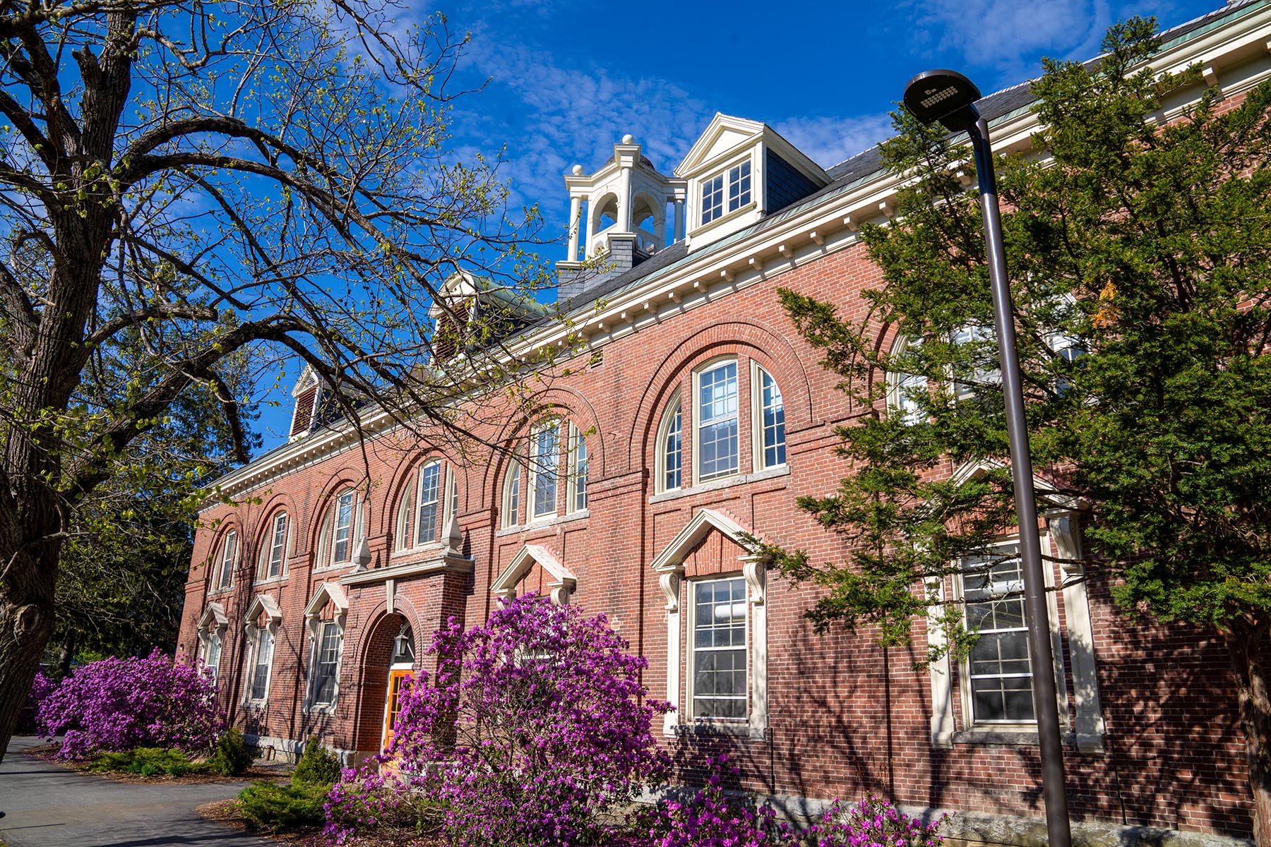 A photo of Alumni Hall in spring