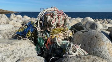 tangled rope on the rocky coast