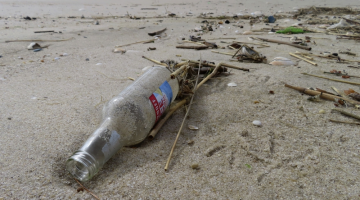 a discarded bottle in the beach sand.