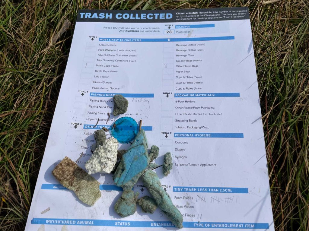 Checklist for items found during a marine debris cleanup laying on the grass.