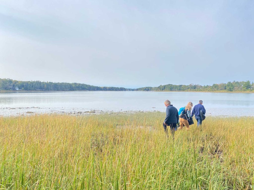 Folks walking through grassy coastline.