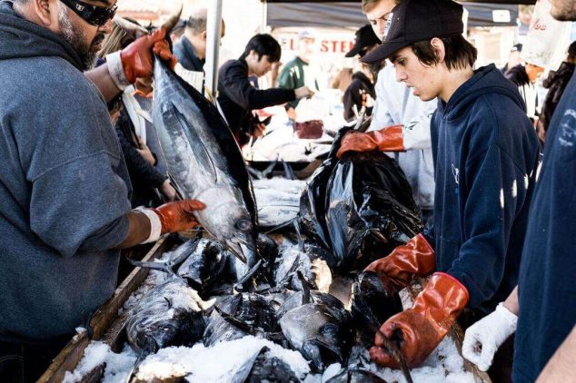Fishermen sort through tuna at an outdoor seafood market