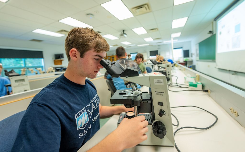 First year UMaine student looking into a microscope at the Darling Marine Center.