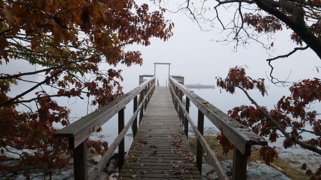 Darling Marine Center dock in fog with fall foliage