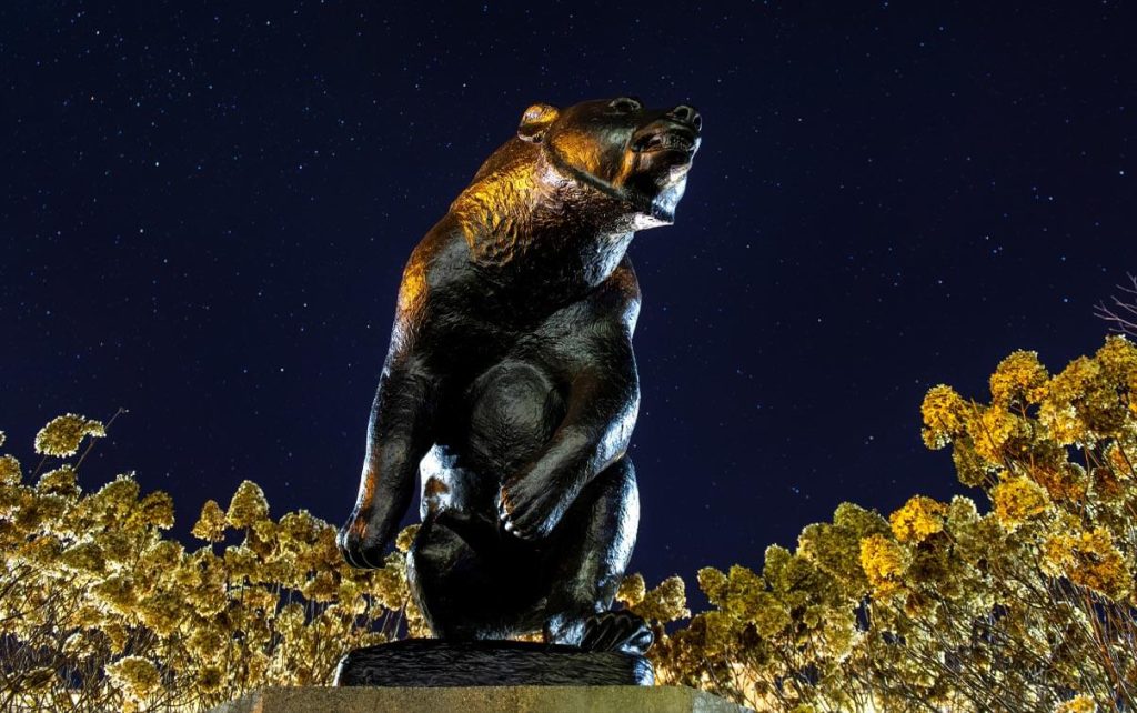 A photo of UMaine's bear statue at night under a starry sky