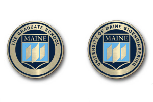 A photo of a pair of lapel pins