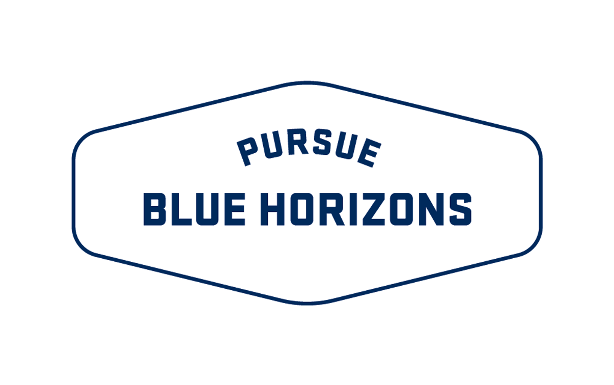 A photo of the Blue Horizons logo