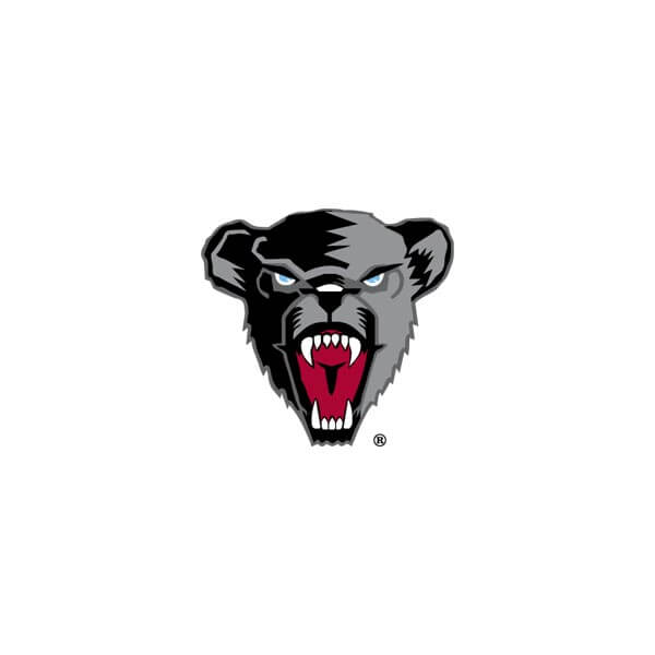 A thumbnail image of UMaine's Bear logo