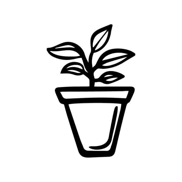 An illustration of a plant in a pot