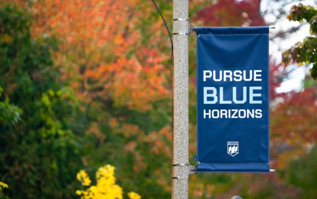 A photo of a pole banner that says Pursue Blue Horizons