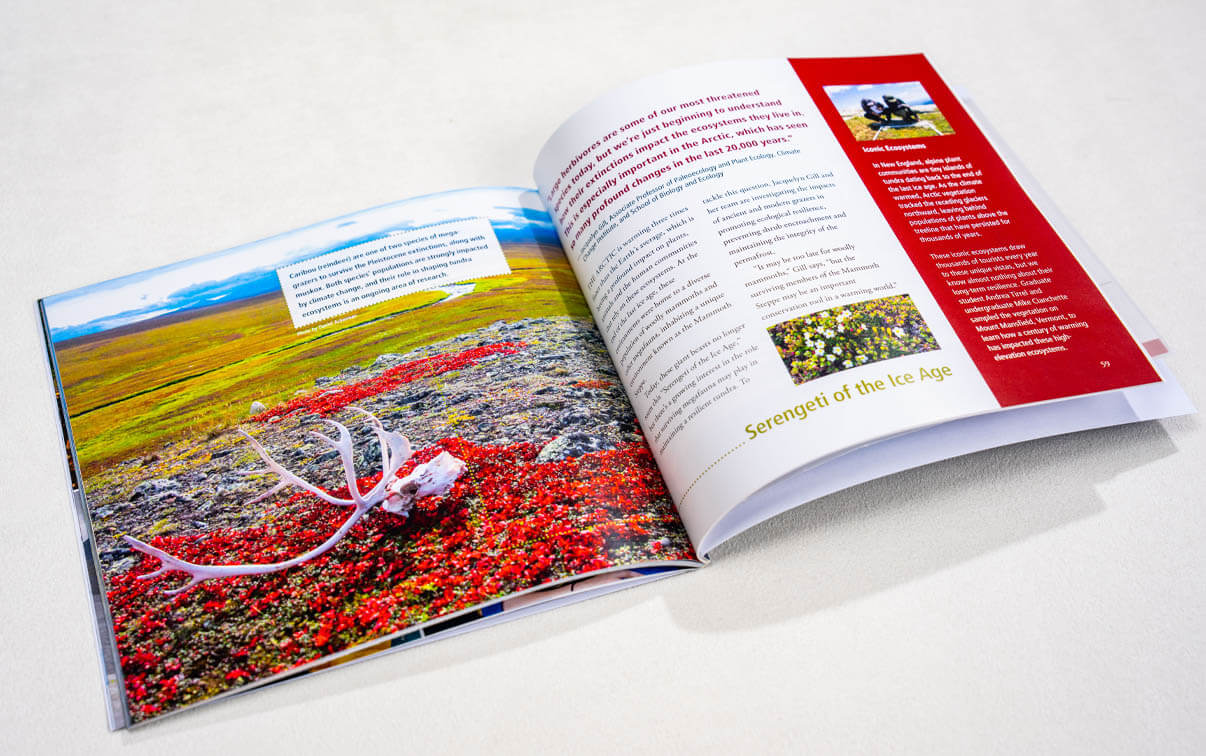 A photo of a booklet on a white background