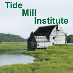 Tide Mill Institute logo
