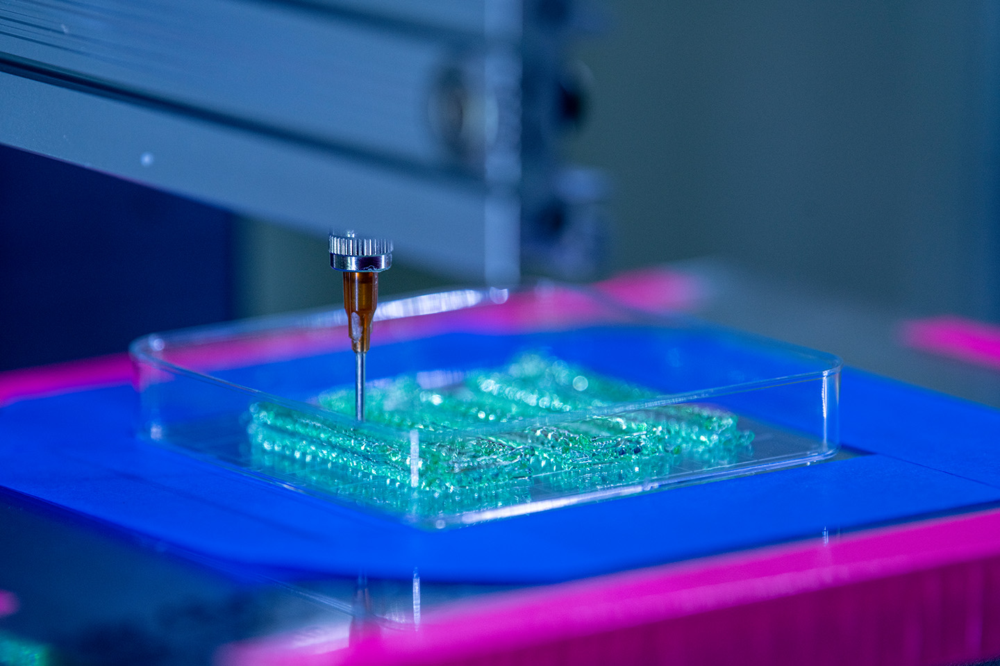 Biomedical students use 3D printed vascular polymers to help solve problems ranging from delivering medicine to people to detecting dangerous chemicals underground