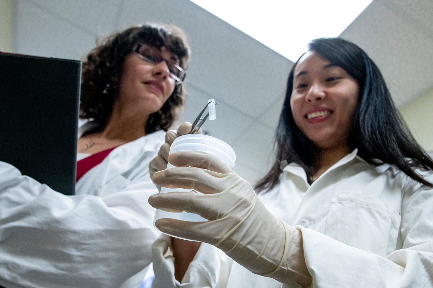 Chemical and Biomedical Engineering student picking up a sample with tweezers