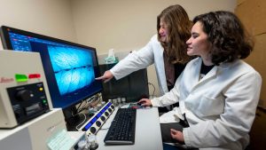 Bio Physics Engineering looking at a computer
