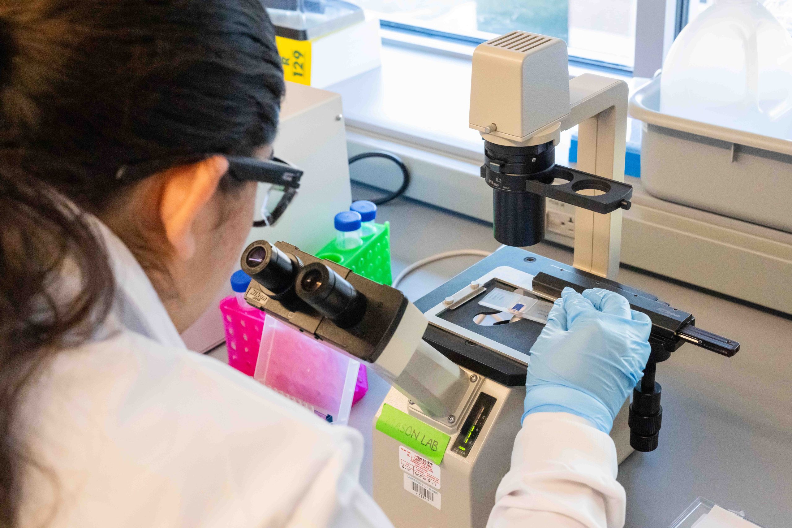 Engineer working in the Tissue Lab with a microscope