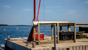 Platform at aquaculture site
