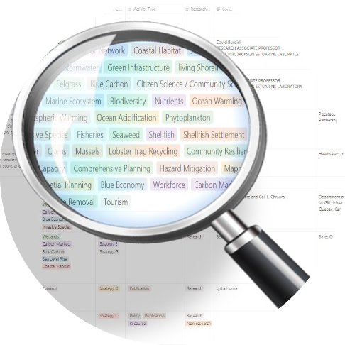 photo of magnifying glass over a spreadsheet (decorative)