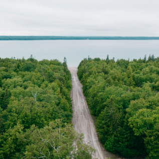 road leading through forest to body of water