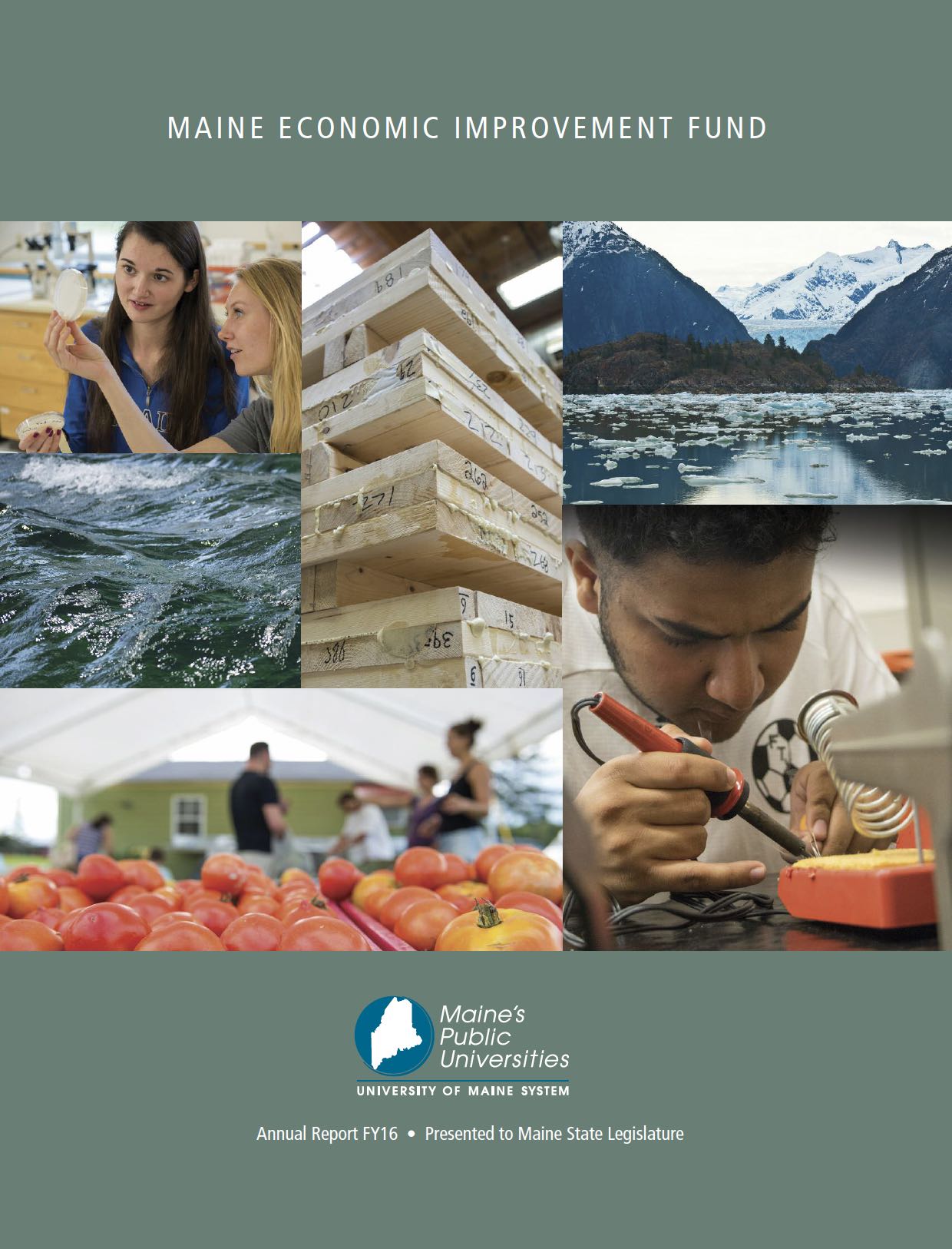 Thumbnail cover image MEIF FY16 report
