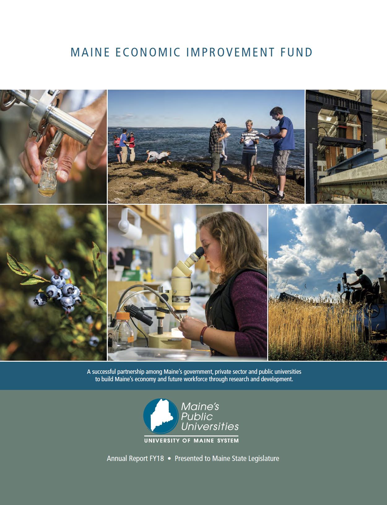 Thumbnail cover image of MEIF Report for FY18