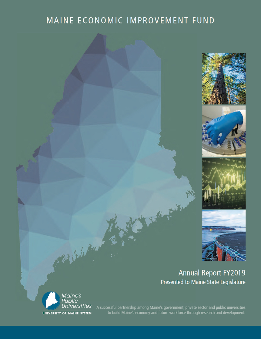 MEIF FY19 cover image featuring stylized map image of Maine